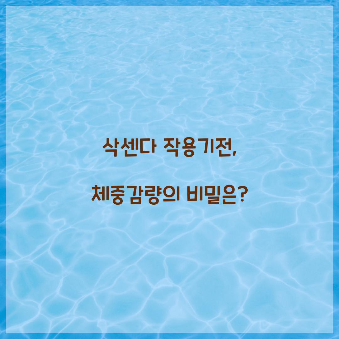 삭센다 작용기전, 체중감량의 비밀은?