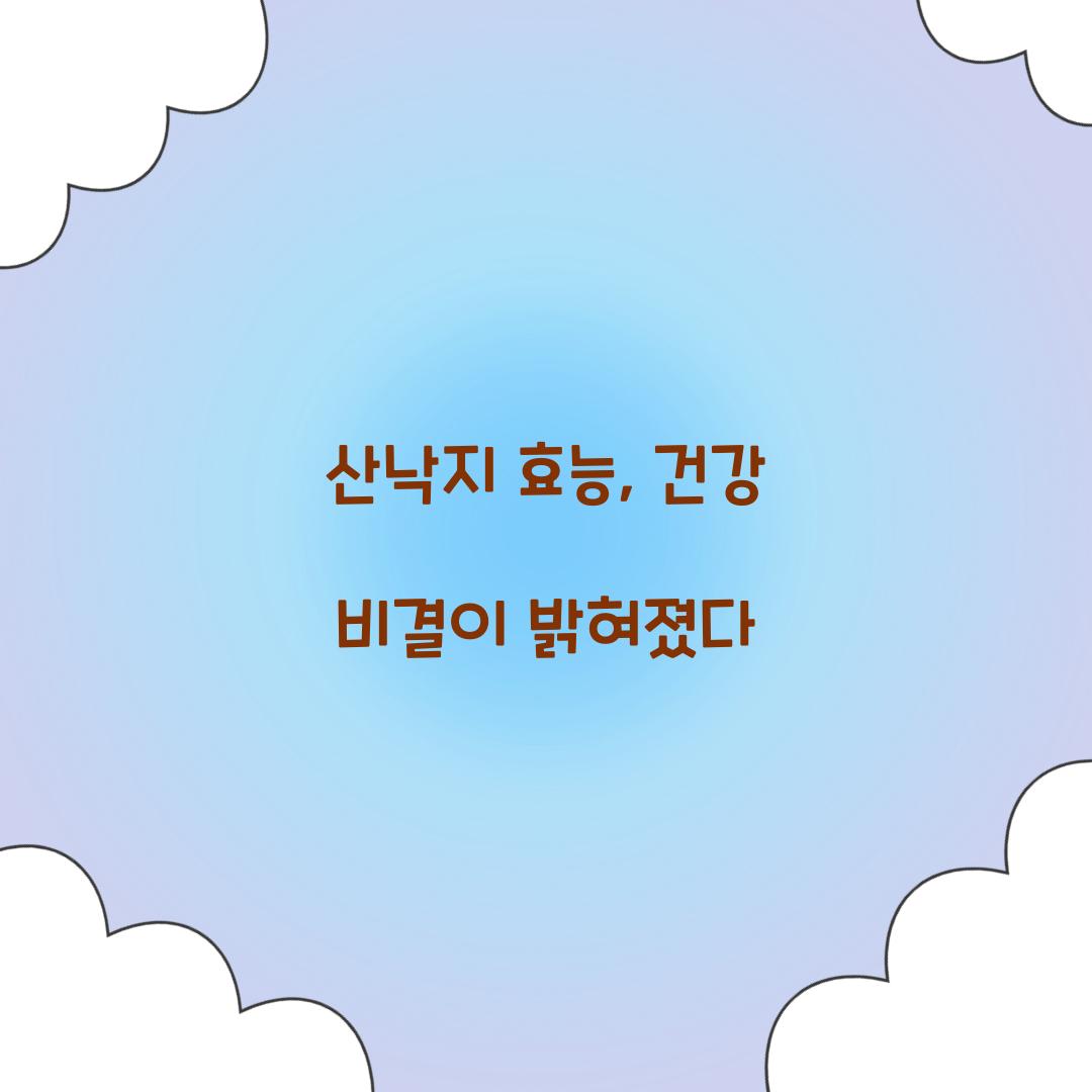 산낙지 효능, 건강 비결이 밝혀졌다
