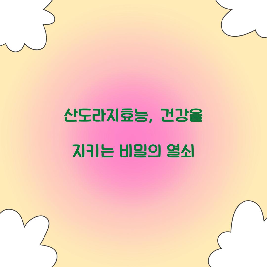 산도라지효능, 건강을 지키는 비밀의 열쇠