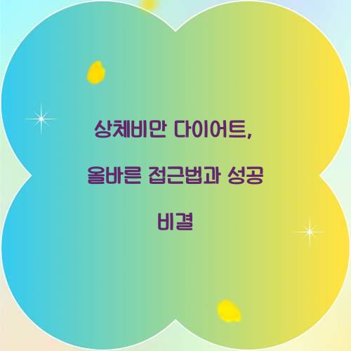 상체비만 다이어트, 올바른 접근법과 성공 비결