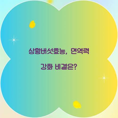 상황버섯효능, 면역력 강화 비결은?