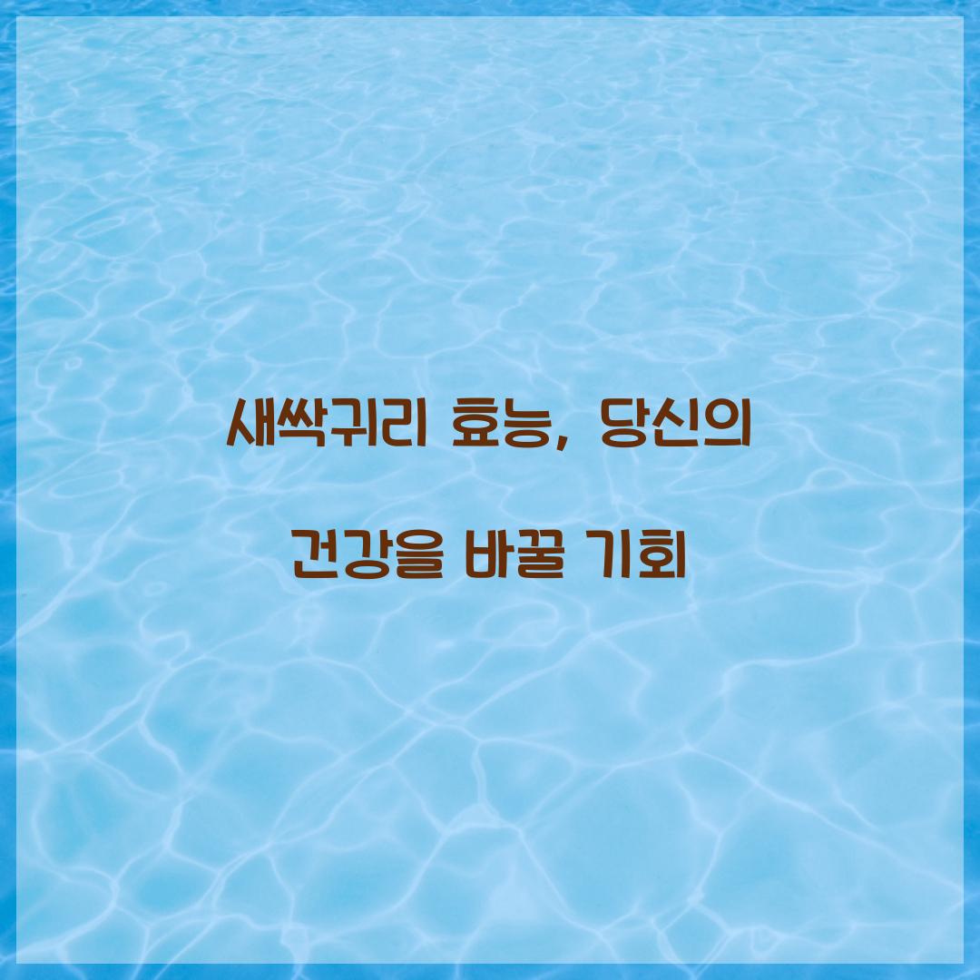 새싹귀리 효능, 당신의 건강을 바꿀 기회