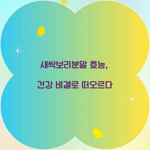 새싹보리분말 효능, 건강 비결로 떠오르다