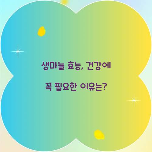 생마늘 효능, 건강에 꼭 필요한 이유는?