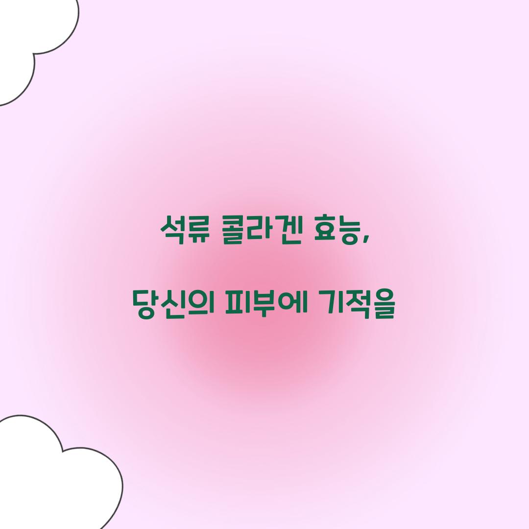 석류 콜라겐 효능, 당신의 피부에 기적을