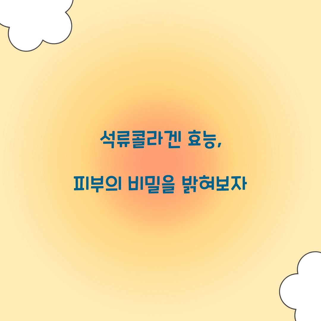 석류콜라겐 효능, 피부의 비밀을 밝혀보자