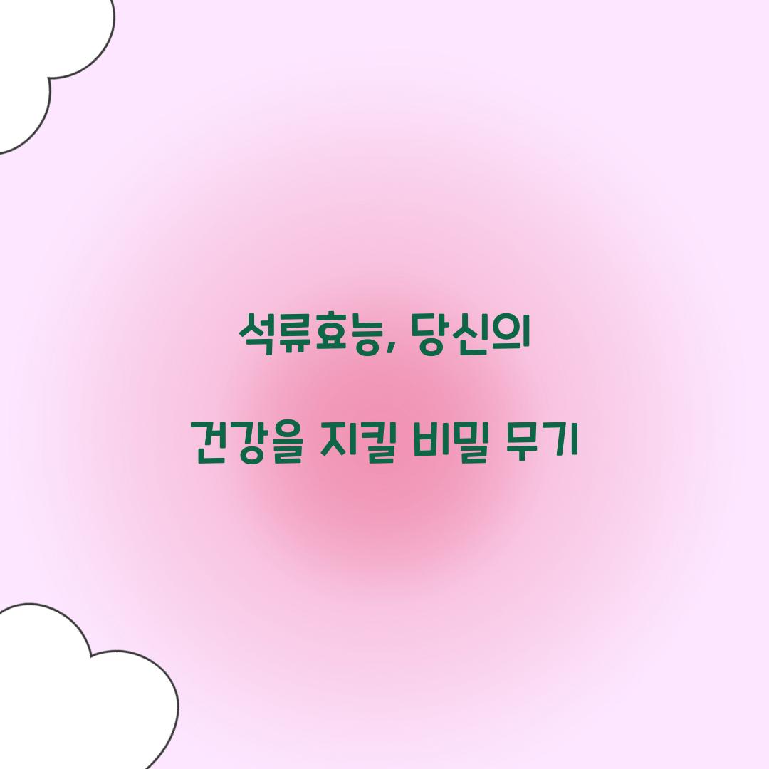 석류효능, 당신의 건강을 지킬 비밀 무기