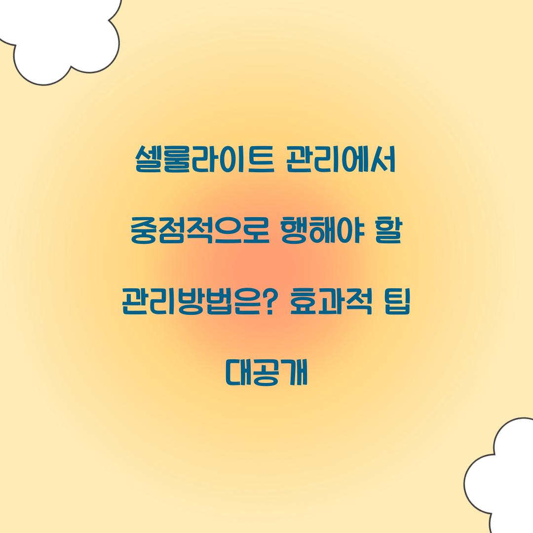 셀룰라이트 관리에서 중점적으로 행해야 할 관리방법은? 효과적 팁 대공개