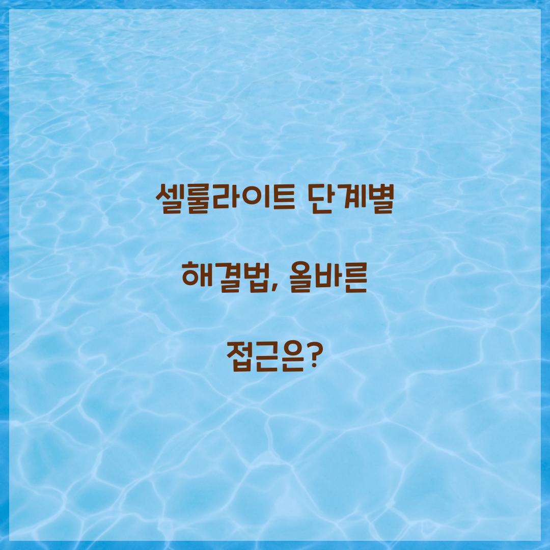 셀룰라이트 단계별 해결법, 올바른 접근은?