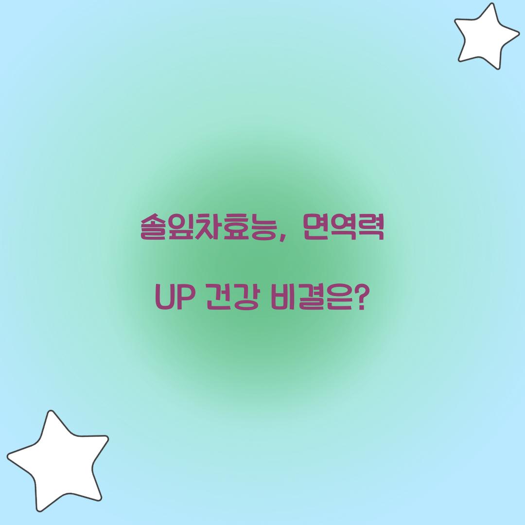 솔잎차효능, 면역력 UP 건강 비결은?