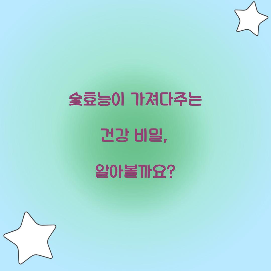 숯효능이 가져다주는 건강 비밀, 알아볼까요?