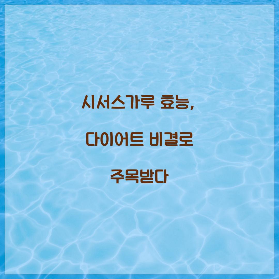 시서스가루 효능, 다이어트 비결로 주목받다