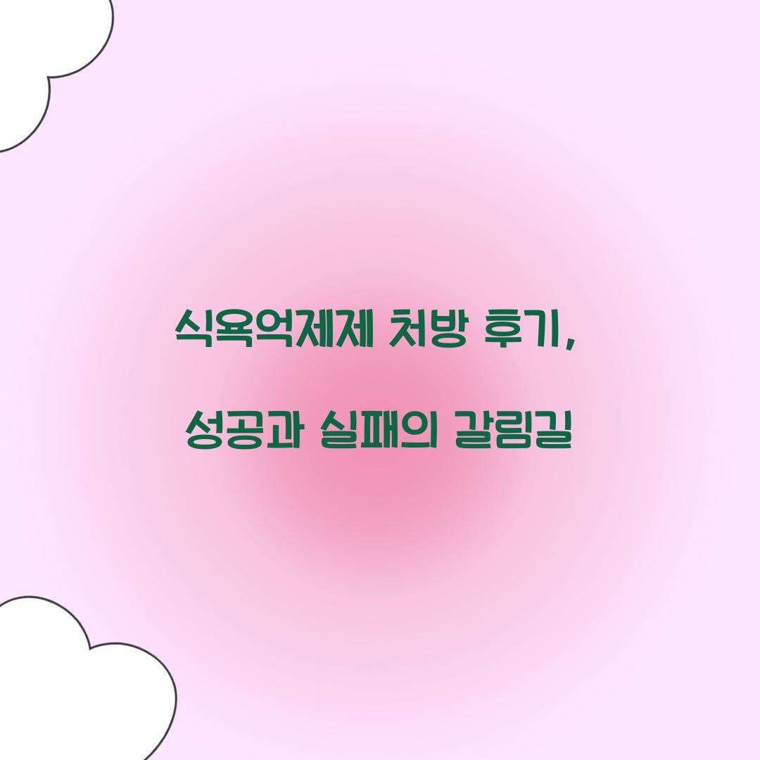 식욕억제제 처방 후기, 성공과 실패의 갈림길