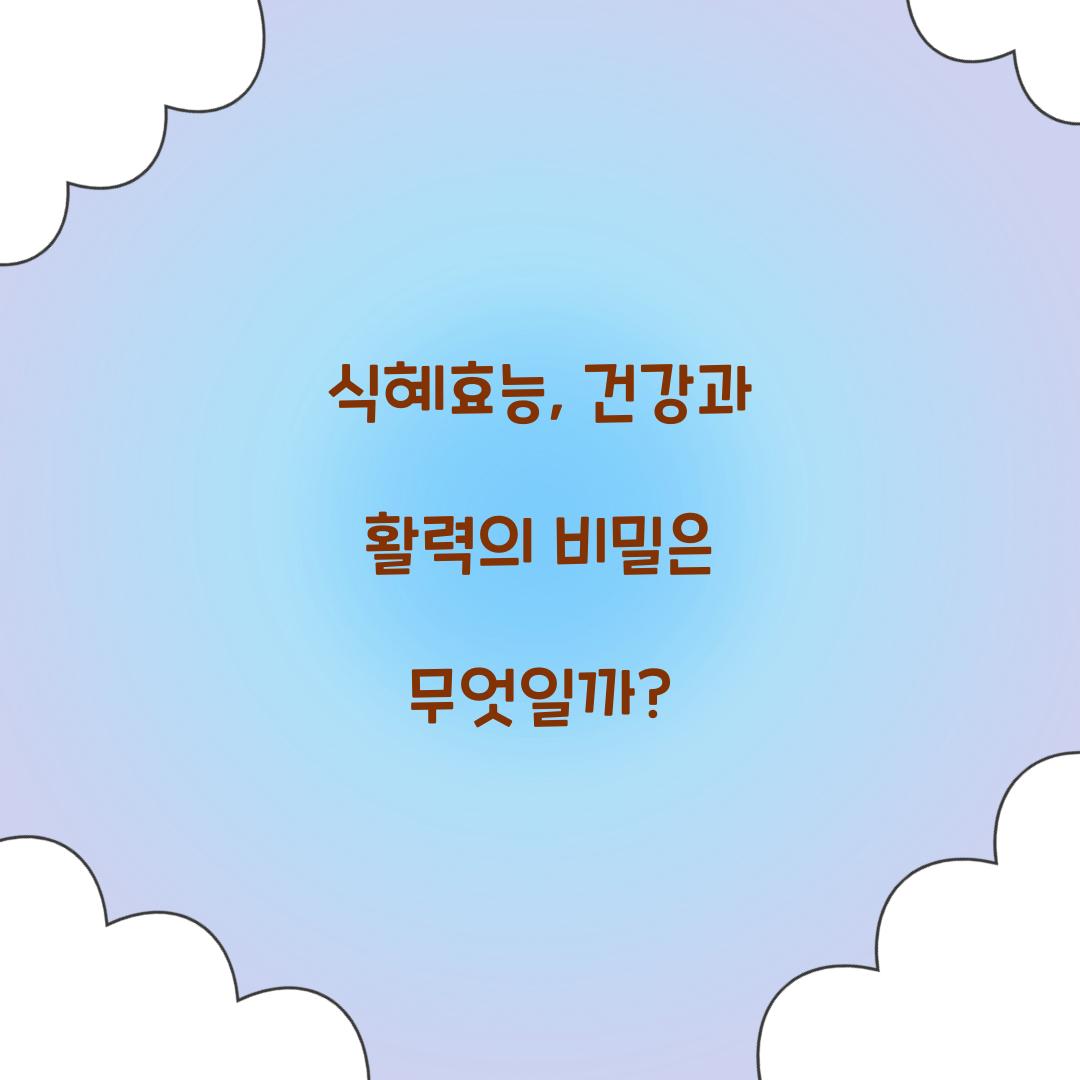 식혜효능, 건강과 활력의 비밀은 무엇일까?