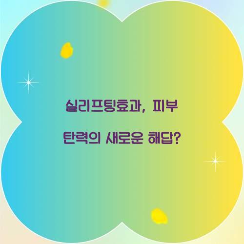 실리프팅효과, 피부 탄력의 새로운 해답?