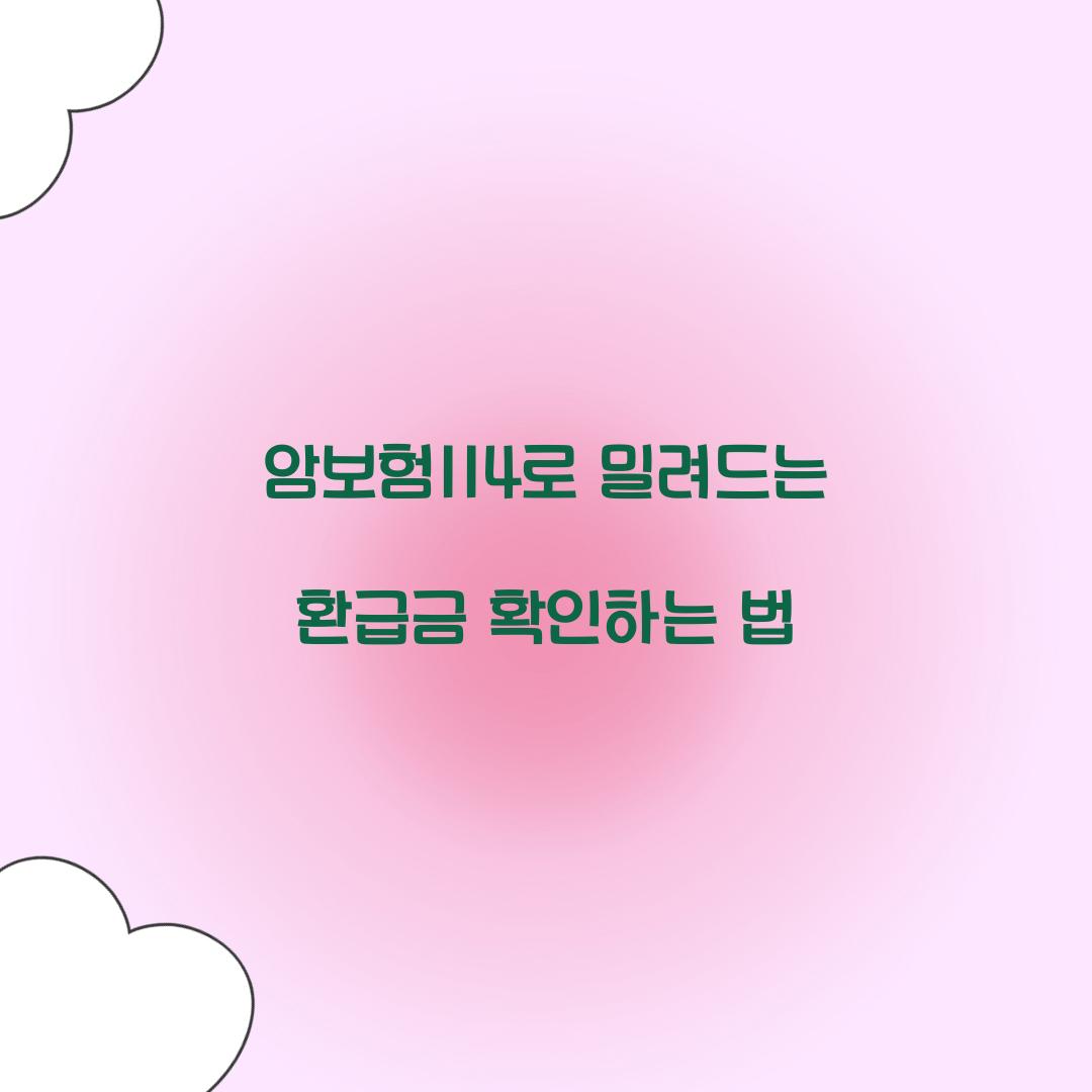 암보험114로 밀려드는 환급금 확인하는 법