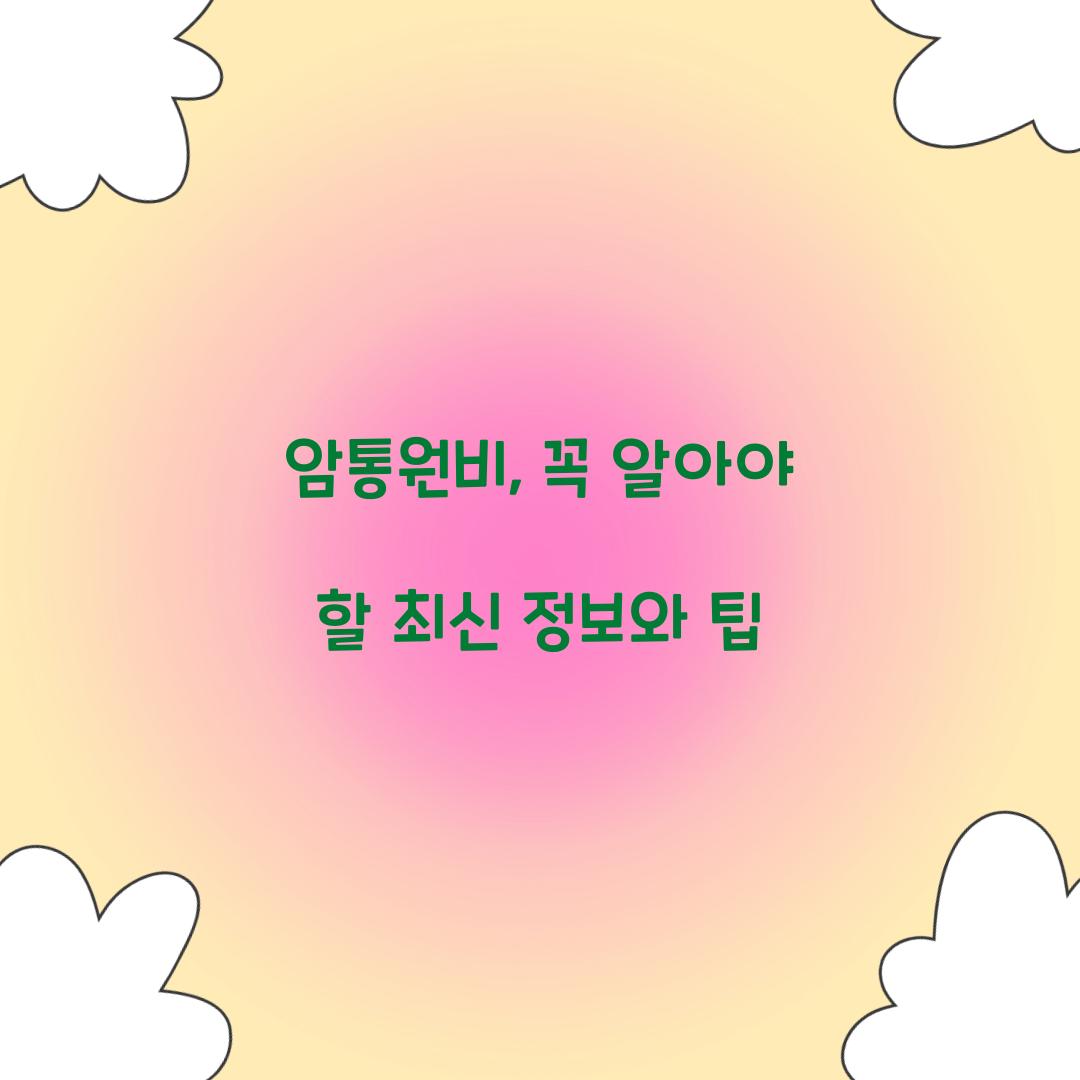 암통원비, 꼭 알아야 할 최신 정보와 팁