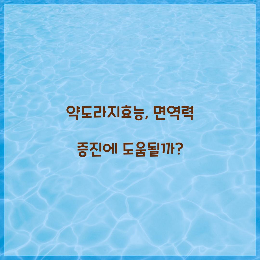 약도라지효능, 면역력 증진에 도움될까?