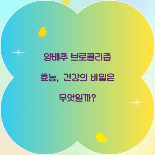 양배추 브로콜리즙 효능, 건강의 비밀은 무엇일까?