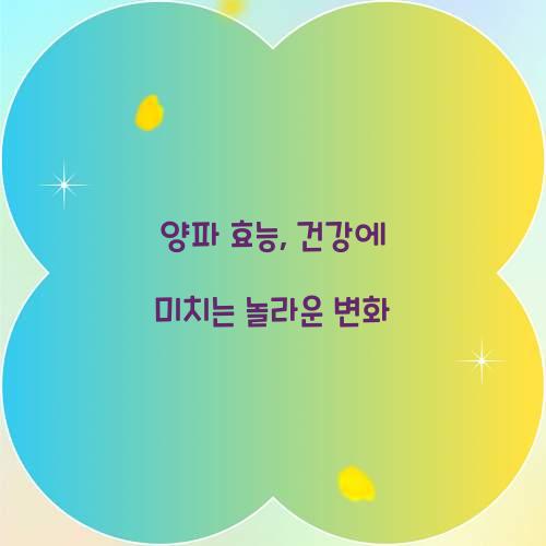 양파 효능, 건강에 미치는 놀라운 변화