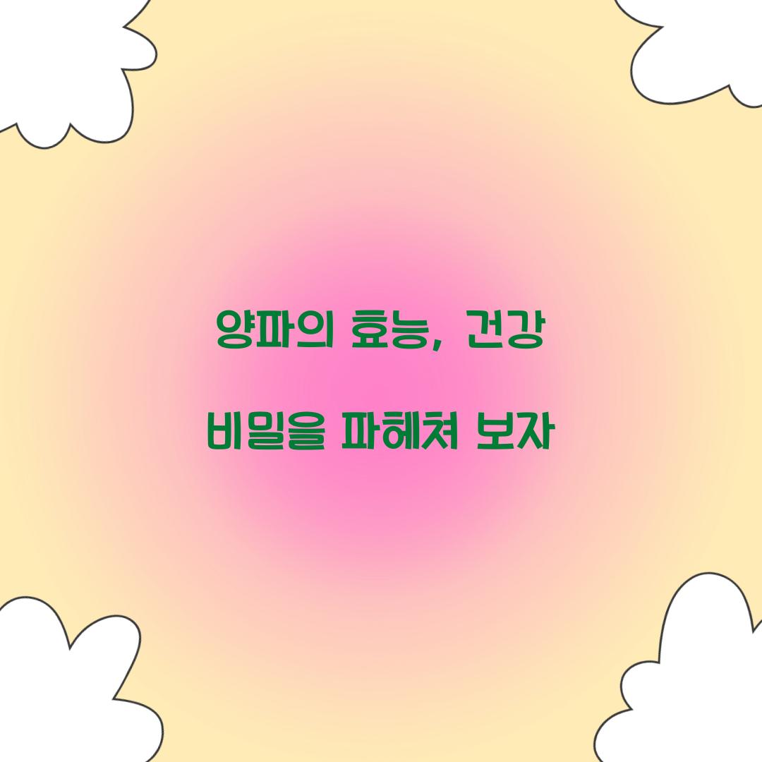 양파의 효능, 건강 비밀을 파헤쳐 보자