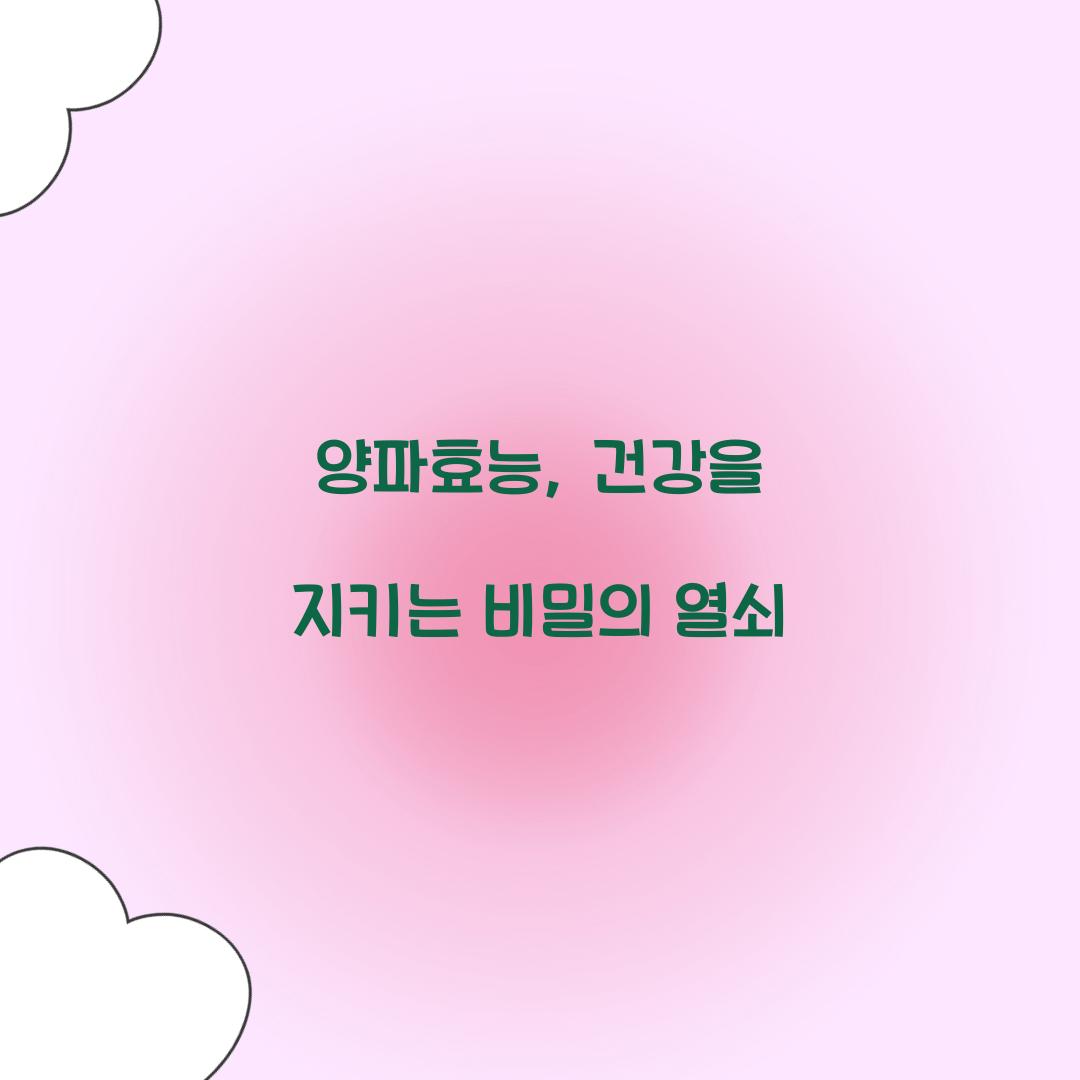 양파효능, 건강을 지키는 비밀의 열쇠