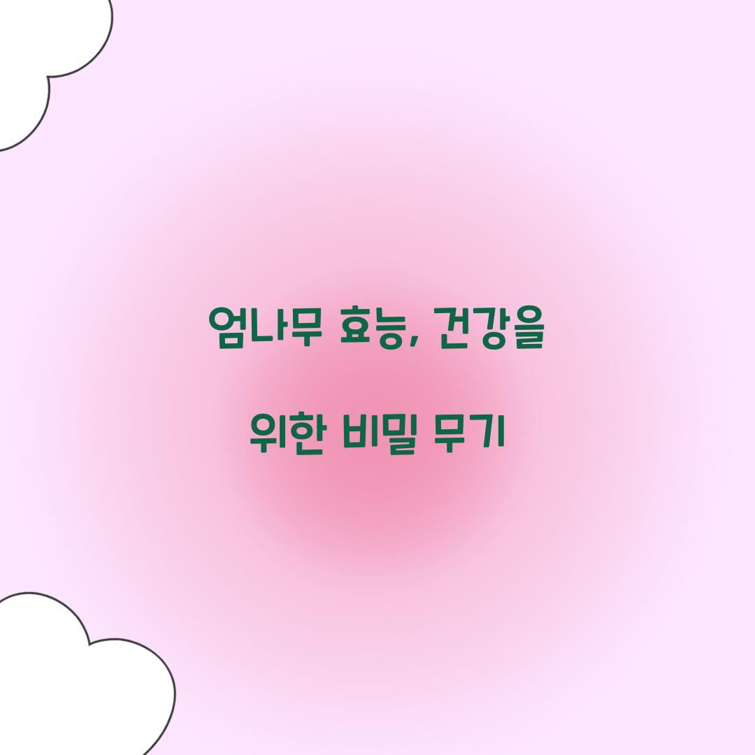 엄나무 효능, 건강을 위한 비밀 무기