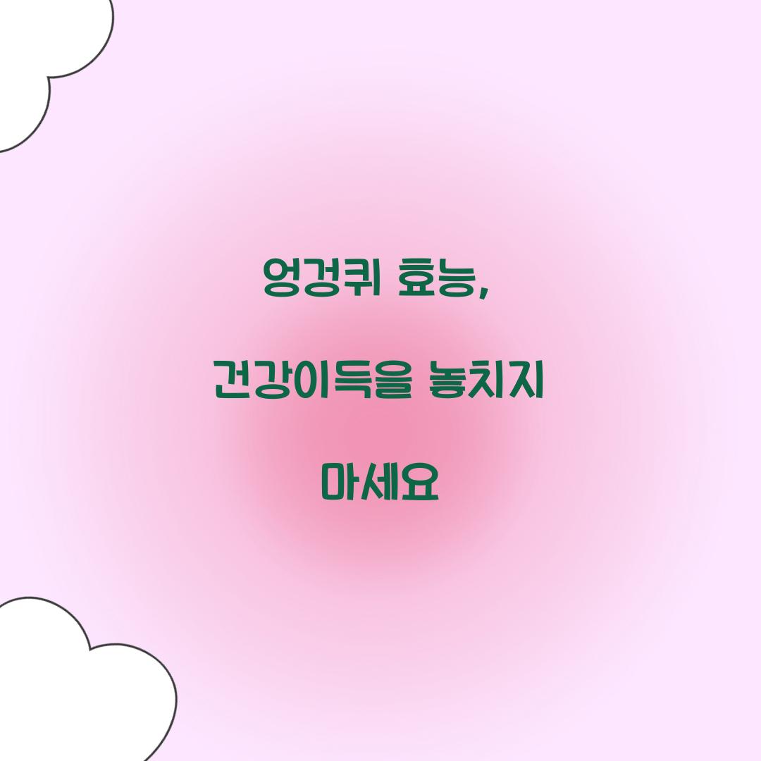 엉겅퀴 효능, 건강이득을 놓치지 마세요