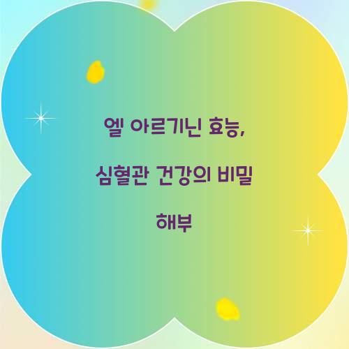 엘 아르기닌 효능, 심혈관 건강의 비밀 해부