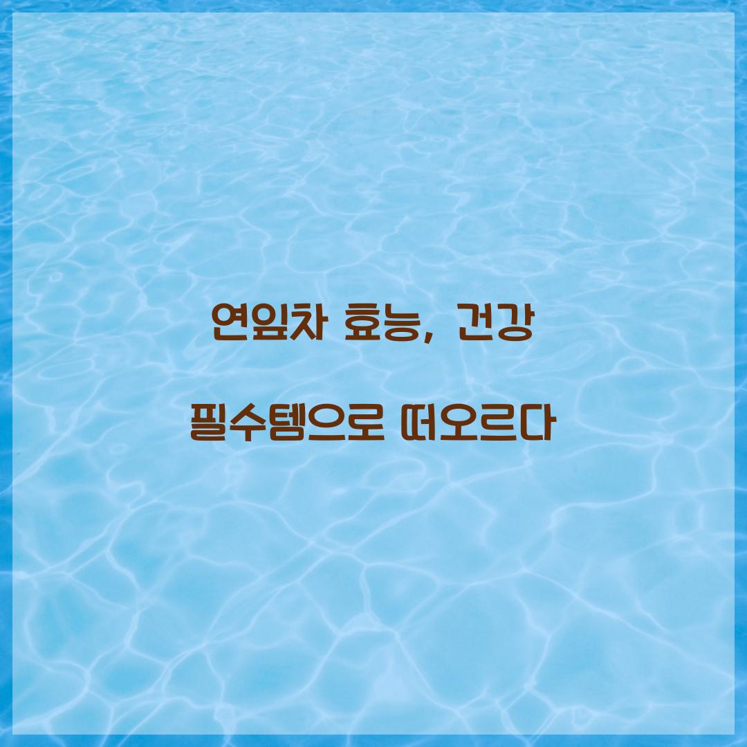 연잎차 효능, 건강 필수템으로 떠오르다