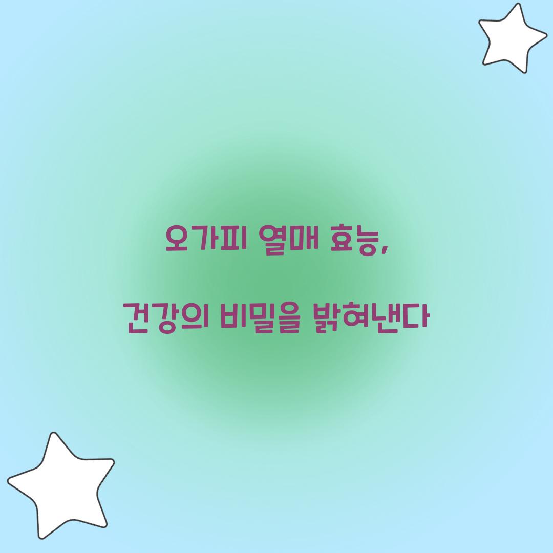 오가피 열매 효능, 건강의 비밀을 밝혀낸다