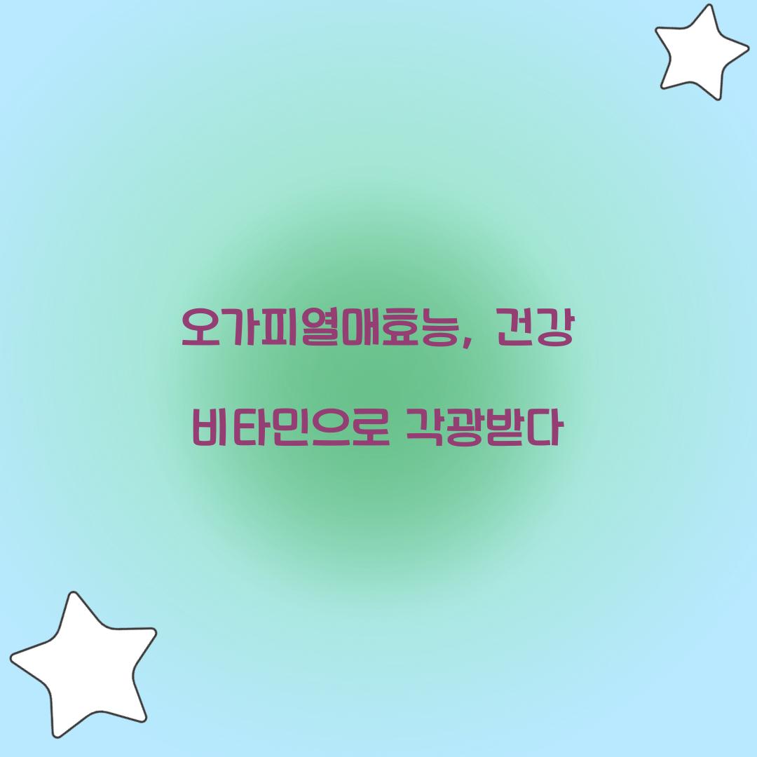 오가피열매효능, 건강 비타민으로 각광받다