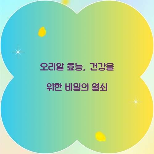 오리알 효능, 건강을 위한 비밀의 열쇠