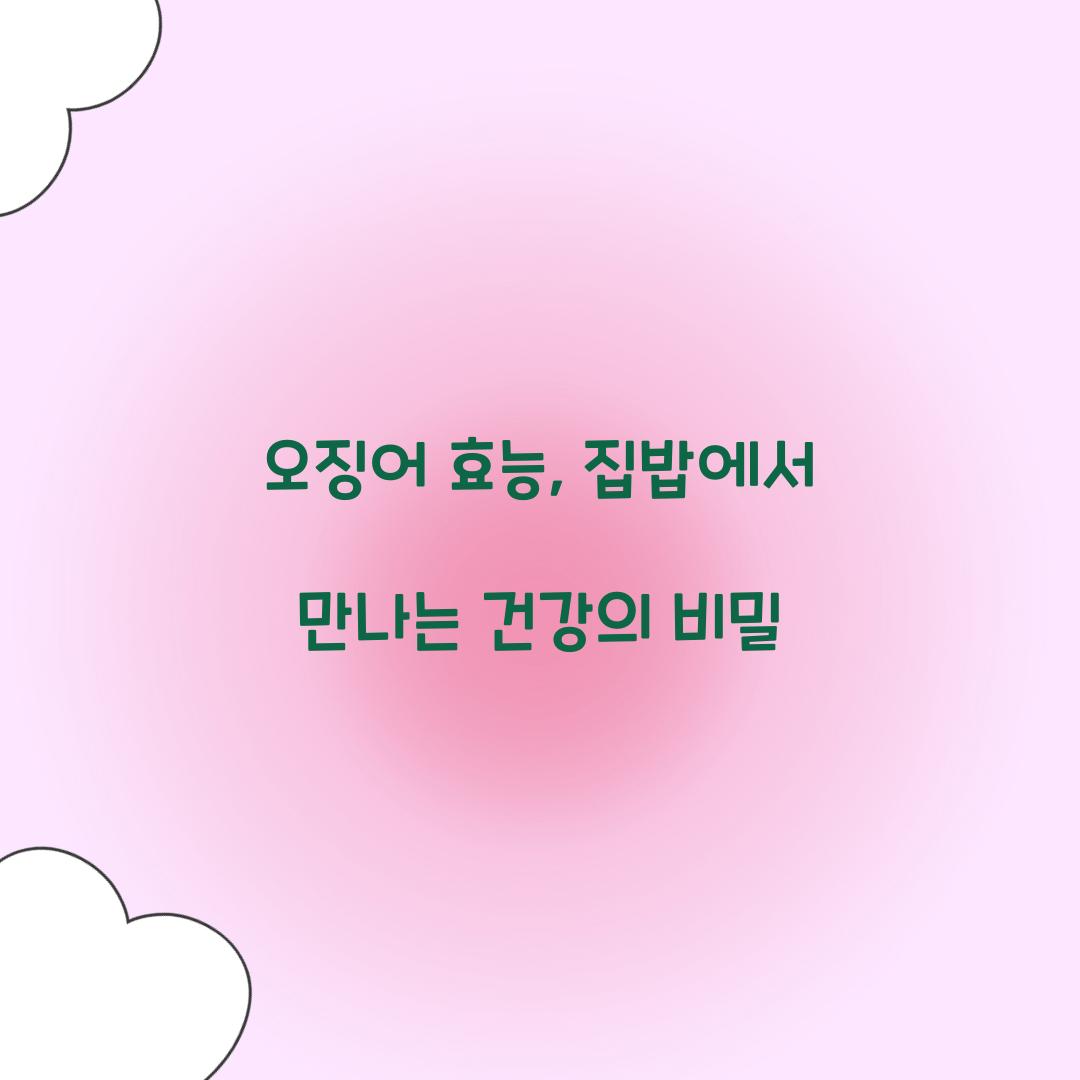 오징어 효능, 집밥에서 만나는 건강의 비밀