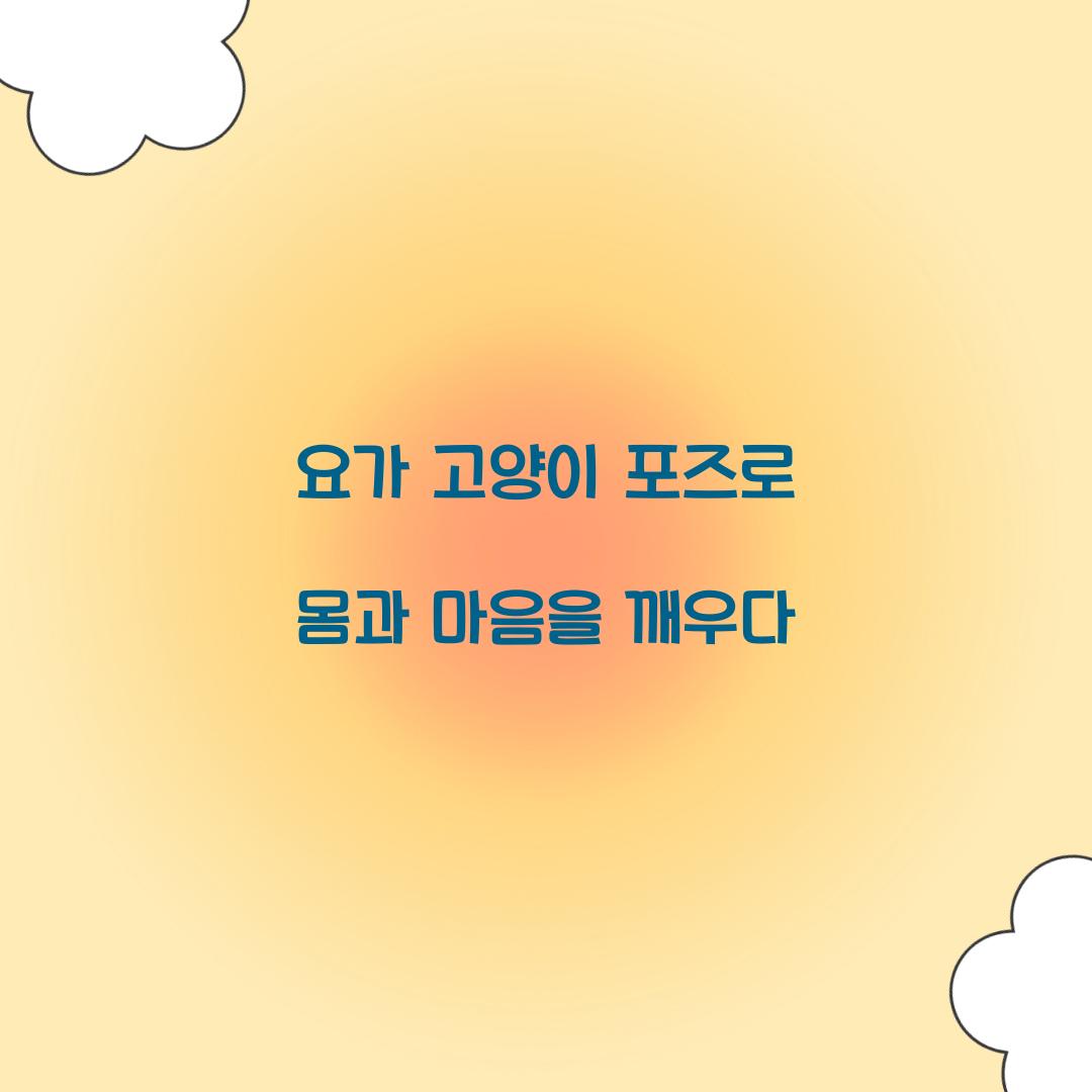 요가 고양이 포즈로 몸과 마음을 깨우다