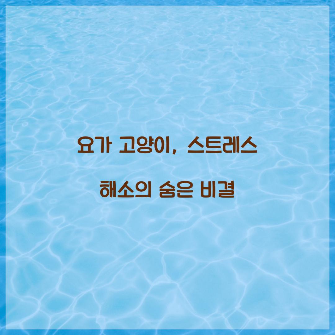 요가 고양이, 스트레스 해소의 숨은 비결