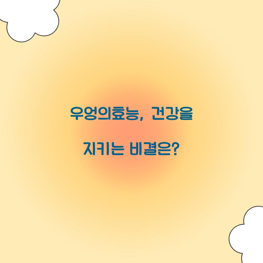 우엉의효능, 건강을 지키는 비결은?