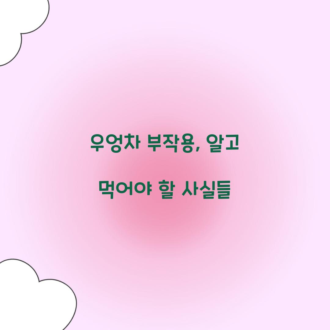 우엉차 부작용, 알고 먹어야 할 사실들