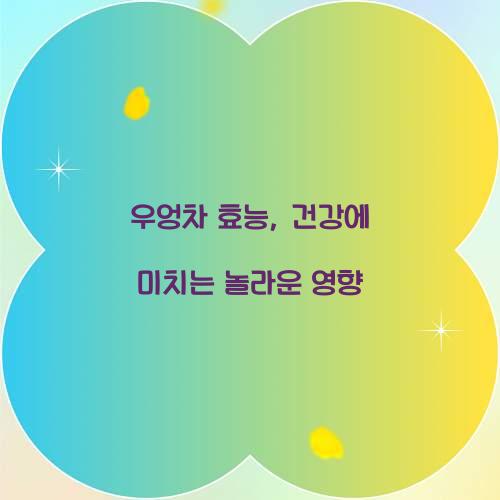 우엉차 효능, 건강에 미치는 놀라운 영향