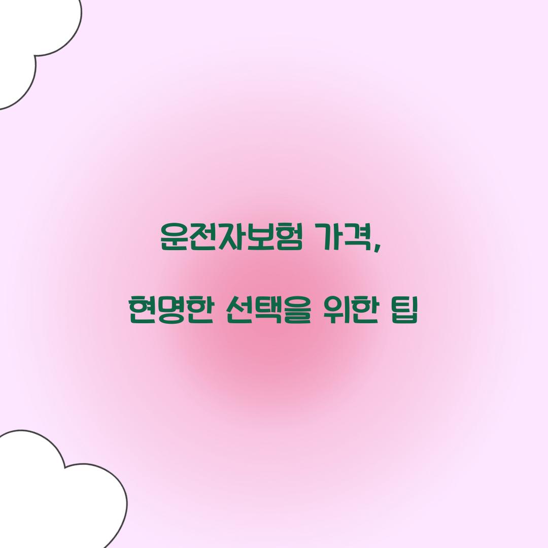 운전자보험 가격, 현명한 선택을 위한 팁