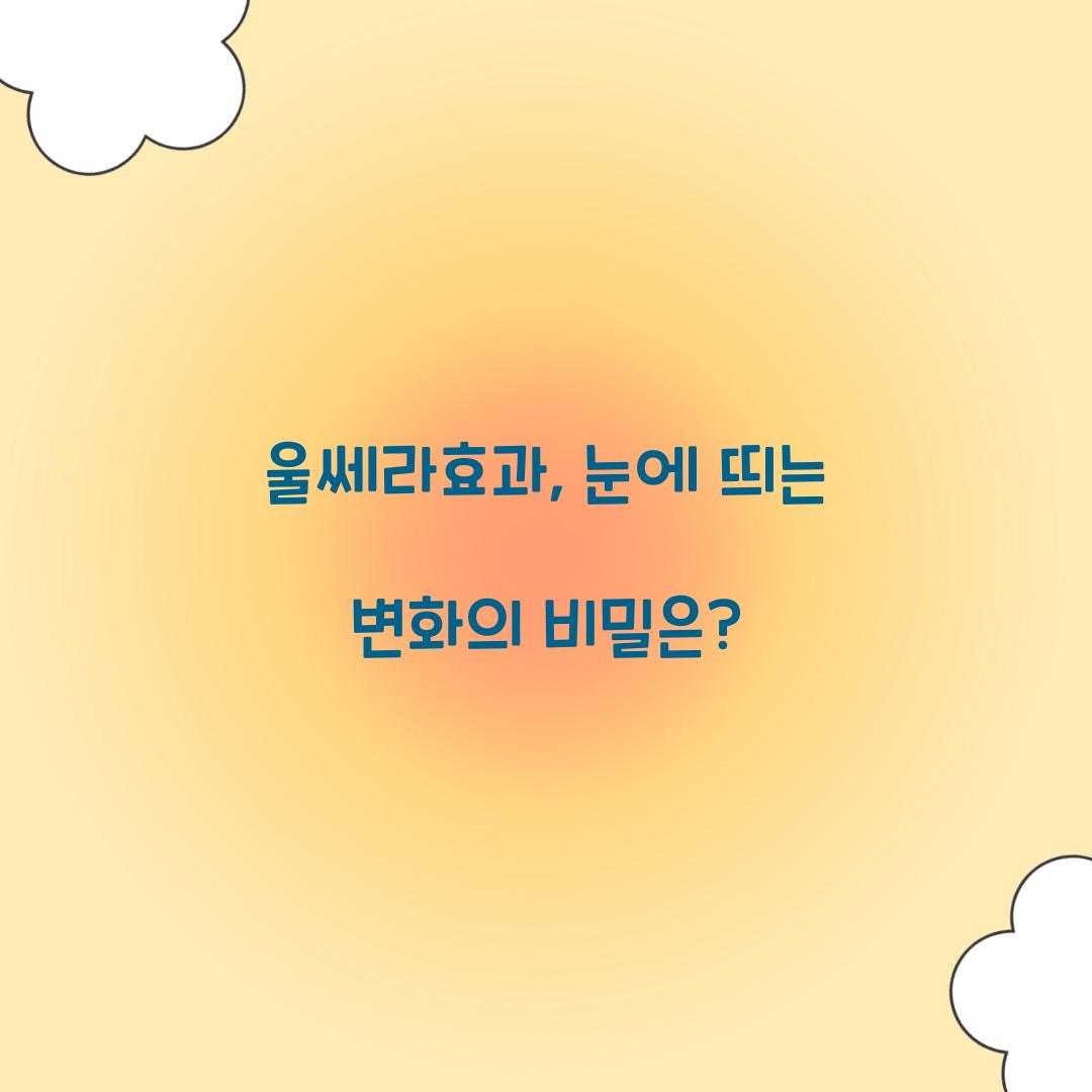 울쎄라효과, 눈에 띄는 변화의 비밀은?