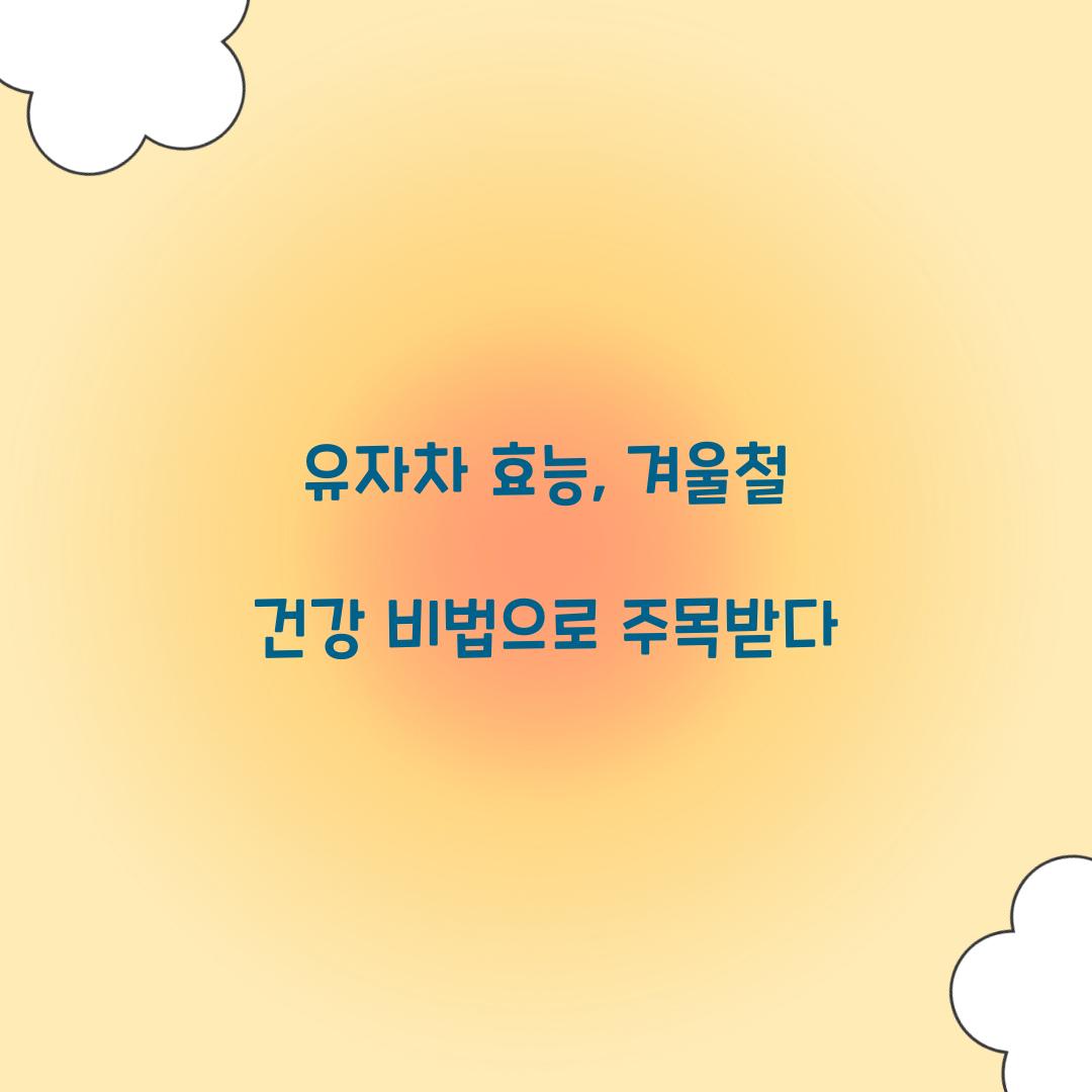 유자차 효능, 겨울철 건강 비법으로 주목받다
