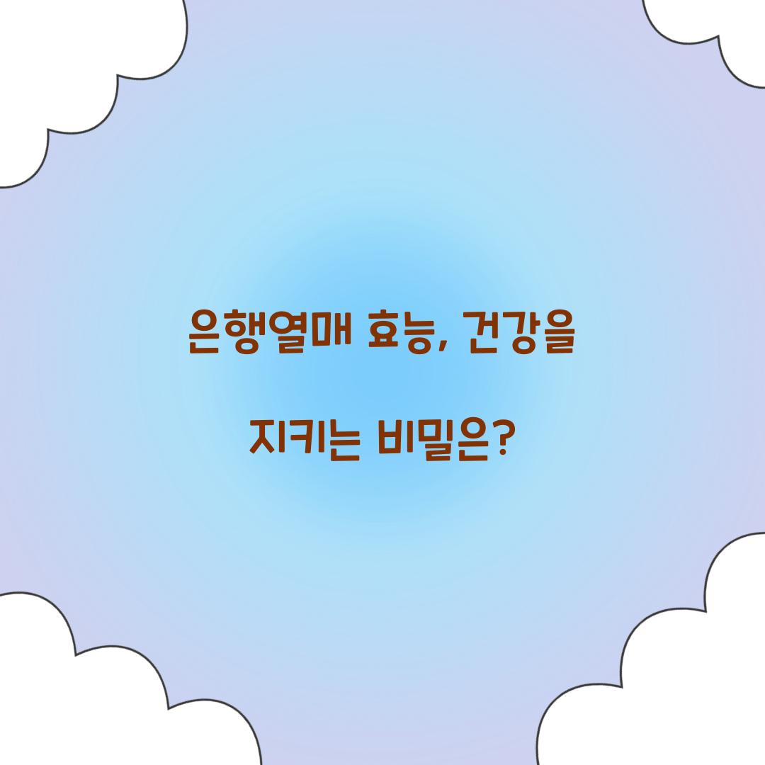 은행열매 효능, 건강을 지키는 비밀은?