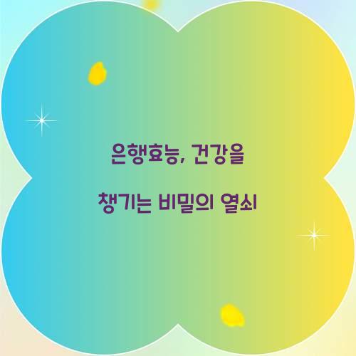 은행효능, 건강을 챙기는 비밀의 열쇠