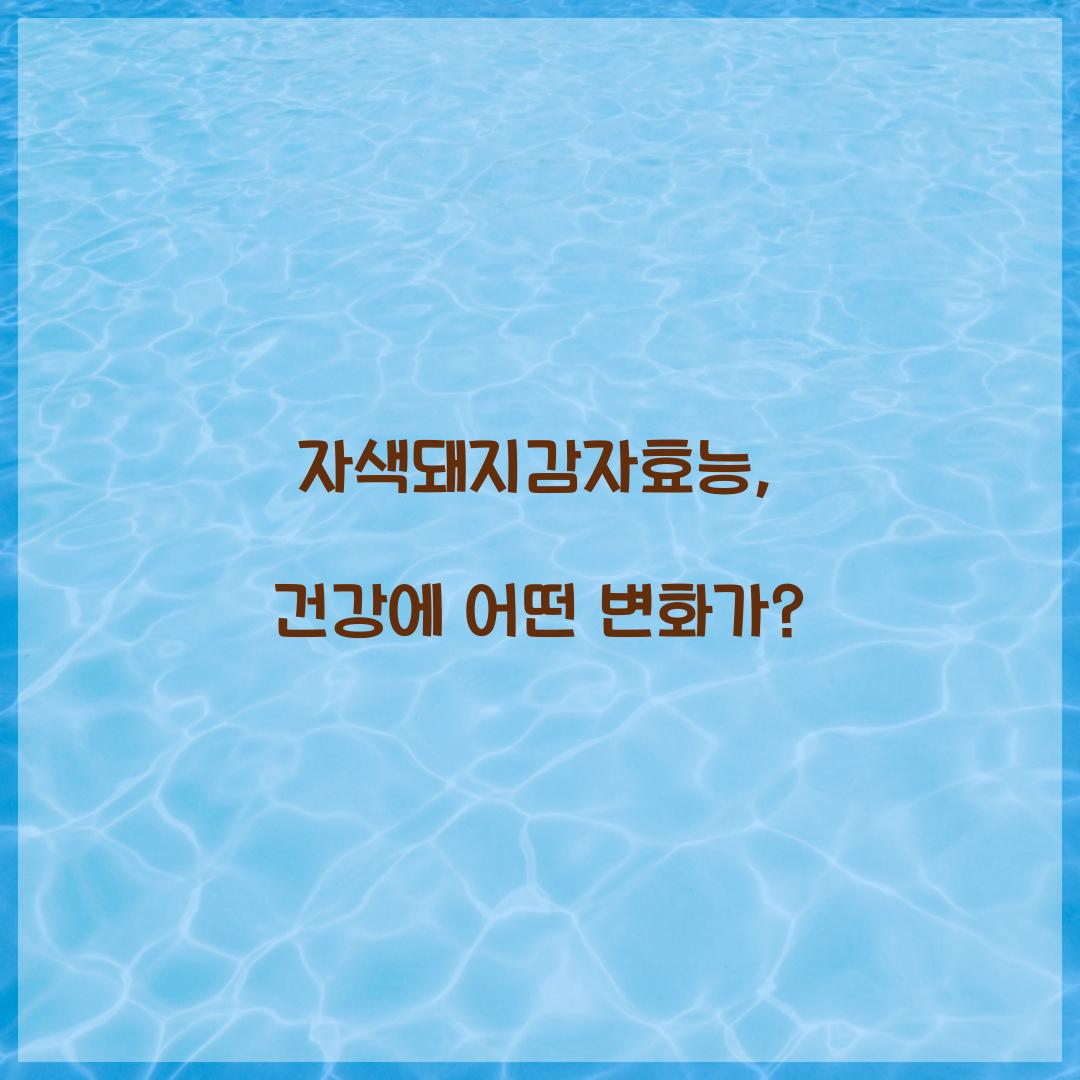 자색돼지감자효능, 건강에 어떤 변화가?