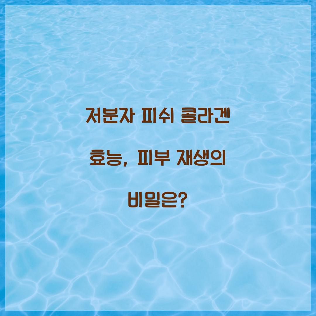 저분자 피쉬 콜라겐 효능, 피부 재생의 비밀은?