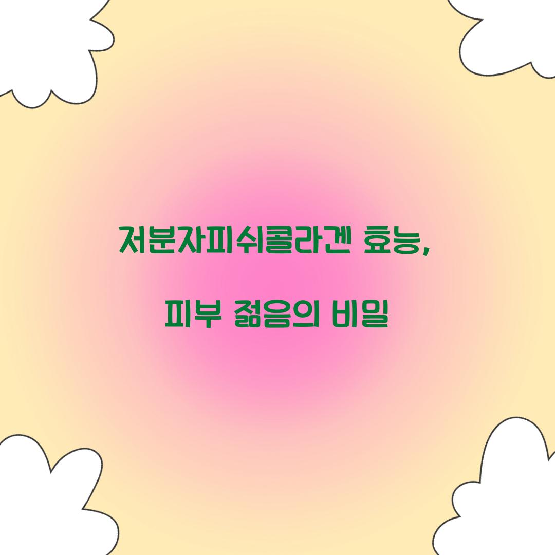 저분자피쉬콜라겐 효능, 피부 젊음의 비밀