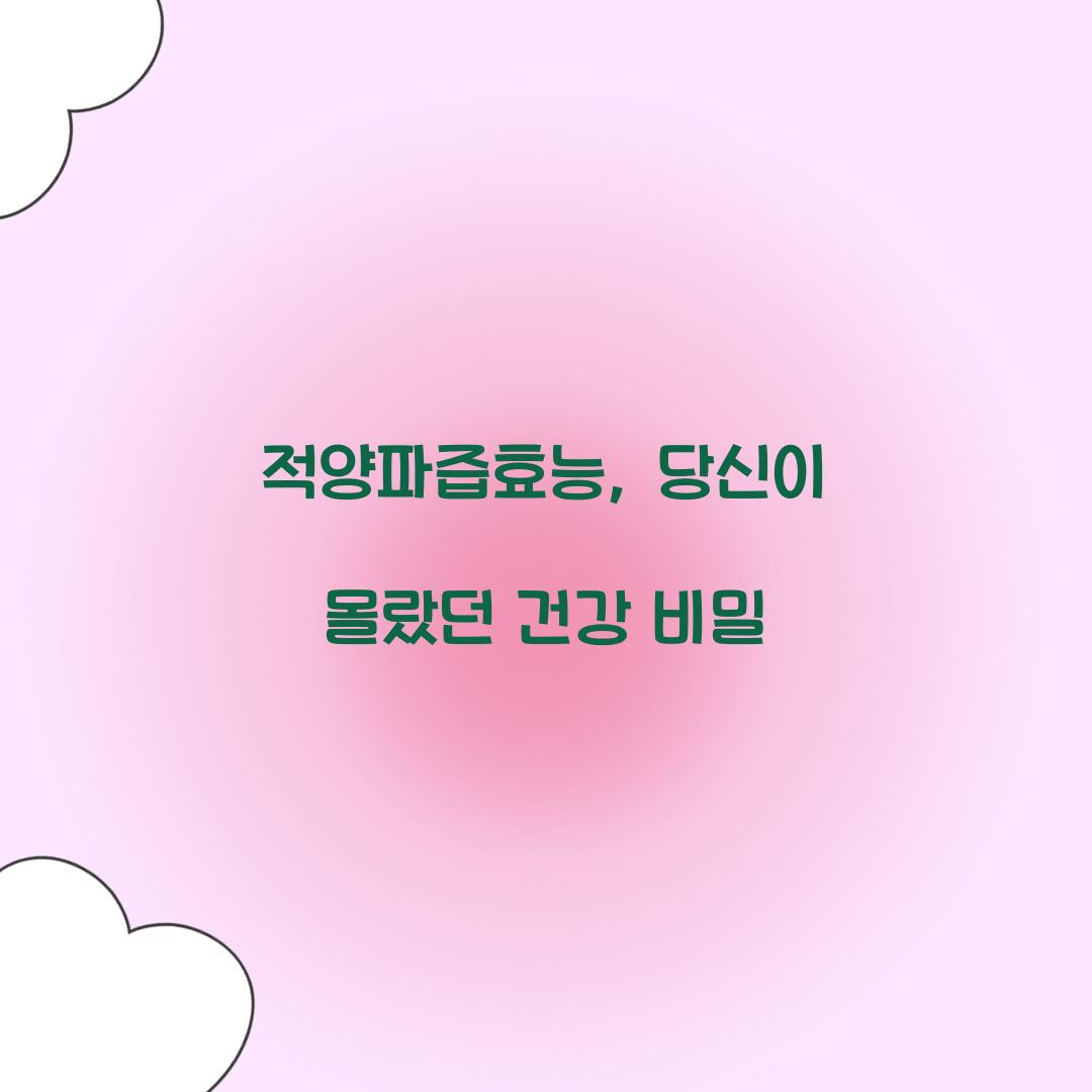 적양파즙효능, 당신이 몰랐던 건강 비밀