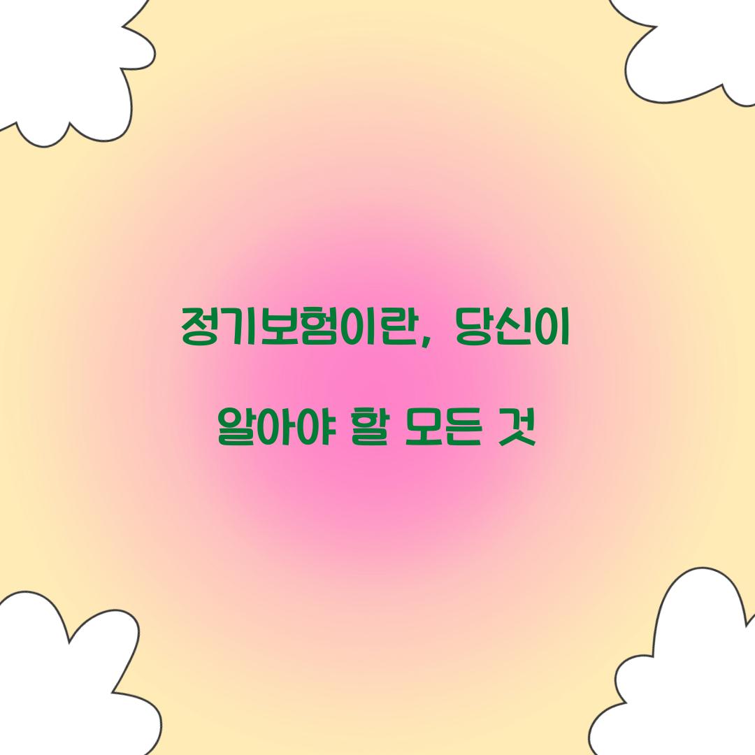 정기보험이란, 당신이 알아야 할 모든 것