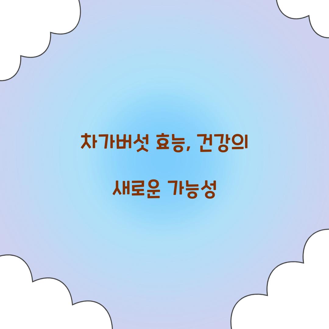 차가버섯 효능, 건강의 새로운 가능성